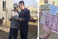 گام مشترک اداره دامپزشکی و معاونت بهداشت دانشگاه علوم پزشکی فسا در پیشگیری از بیماری تب مالت  